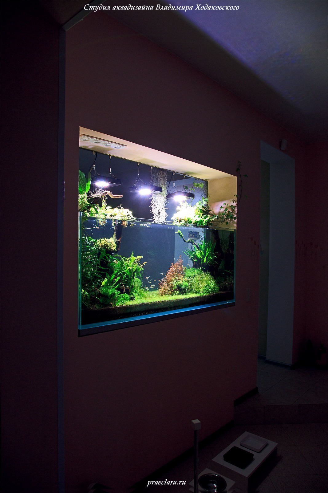 Оформление аквариума "Сады семирамиды", 530л