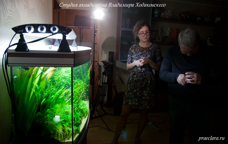 Настройка  камеры GoPro для подводной съёмки аквариума