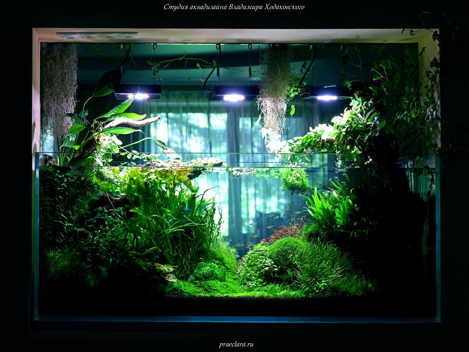 Светодиодные светильники в растительном аквариуме