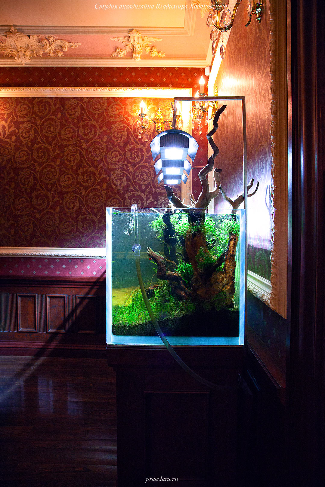 Монтаж подвесных светильников ADA в открытом аквариуме 650л