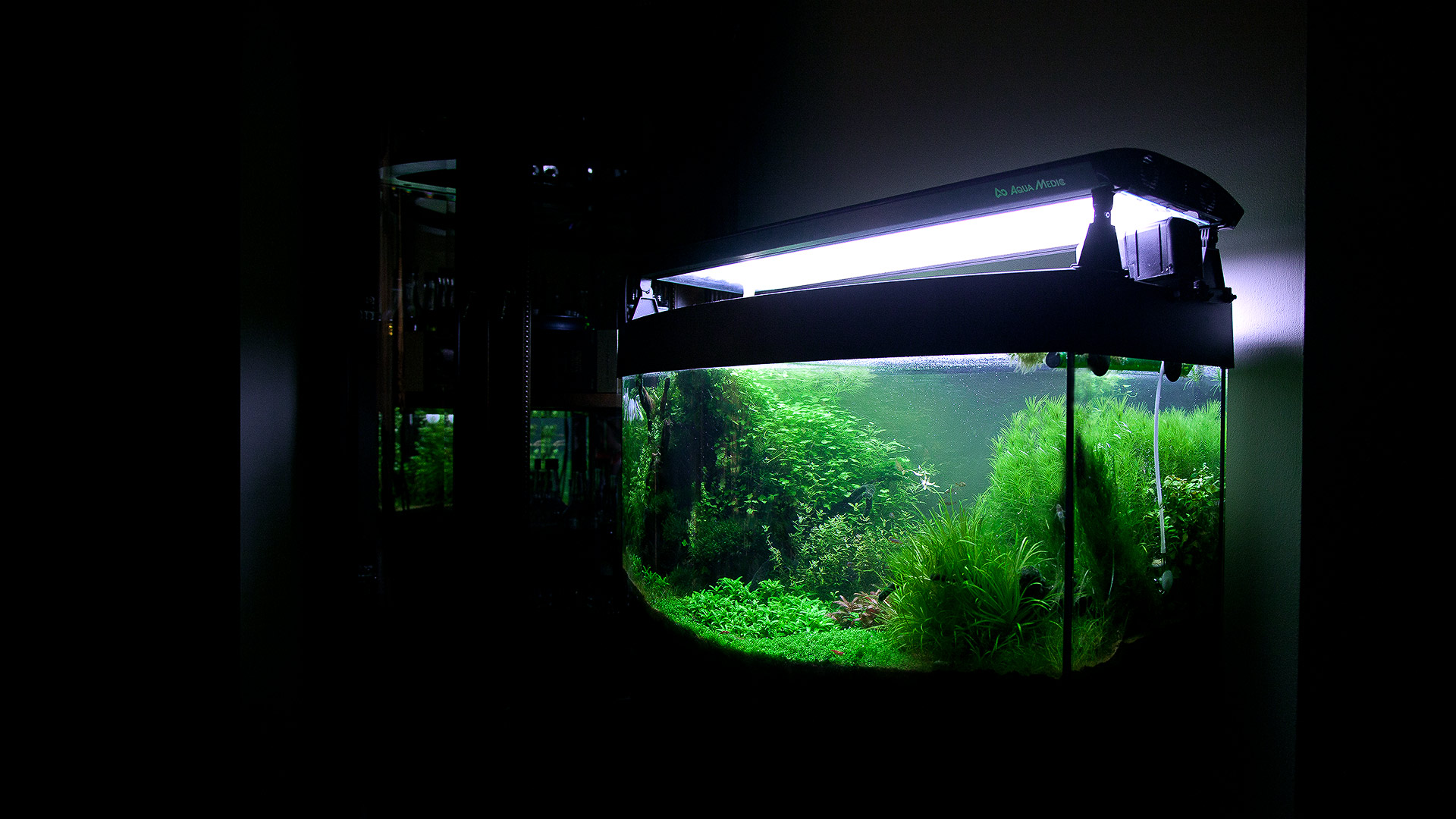 Растительный аквариум. 10 лет спустя. Освещение.